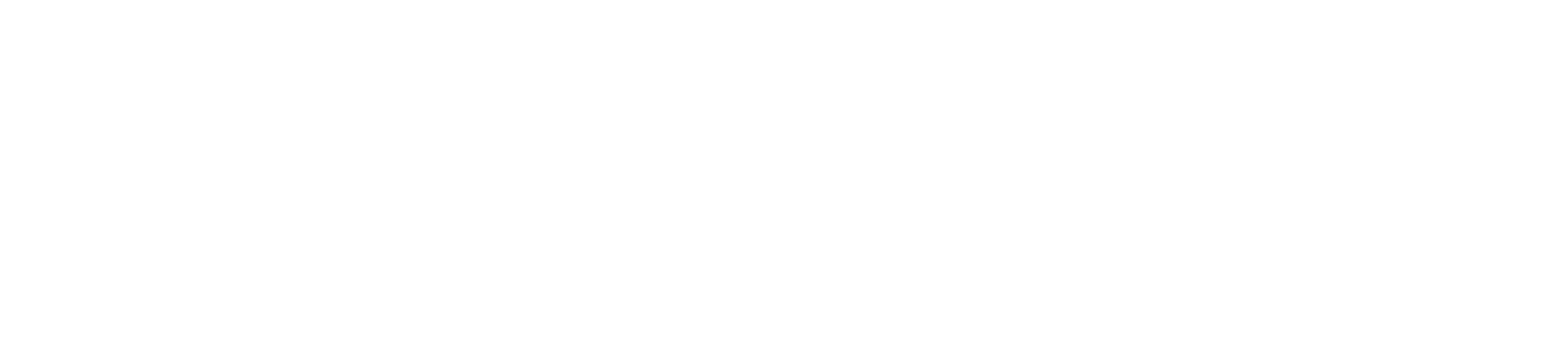 Nahshuttle Logo a service by Nah.sh